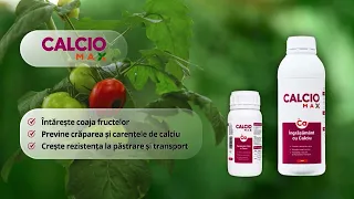Cristina Ghibu and Horia Ghibu - How do we protect tomatoes from strong sunlight?