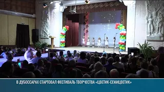 "Flower-Seven-Color": Creativity Festival Kicks Off in Dubossary