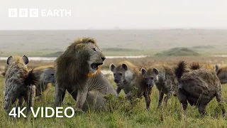 Nature's Deadliest Duels | 4K UHD | BBC Earth