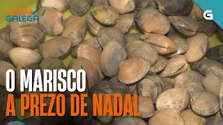 O PREZO do MARISCO dispárase na véspera do 15 de agosto | HORA GALEGA