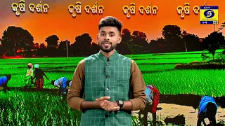 Krushi Darshan || କୃଷି ଦର୍ଶନ || 24th August 2026