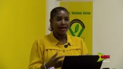 Public Workers And Politics
