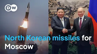 Ukraine suspects North Korean missile used in deadly strike | DW News