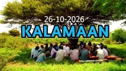 KALAMAAN 26 OGTOBER 2026