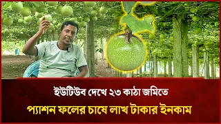 Passion fruit farming on 23 katha of land inspired by YouTube, earning lakhs | Mytv Special
