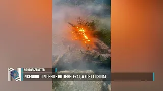 Fire in Cheile Buții-Retezat has been extinguished