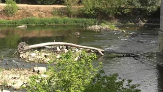 Pavia, the Ticino river runs dry: A chance to clean the riverbed, here is the request
