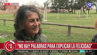 Their horses were stolen, they got them back, and now the saddles are missing