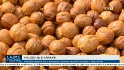 Fermerët e vlerësojnë vitin të bereqetshëm, shpresojnë që prodhimi i sivjetmë të sjellë përfitime