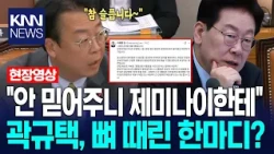 "국민들이 안 믿어주니 제미나이한테" 곽규택, 뼈 때린 한마디? / KNN