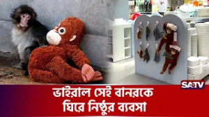 ভাইরাল সেই বানর পাঞ্চকে নিয়ে নি-ষ্ঠুর ব্যবসা | SATV
