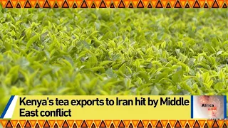 Kenya's tea exports to Iran hit by Middle East conflict