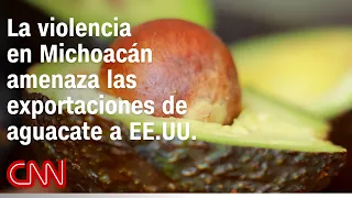 Analysis | Is Mexican avocado at risk due to violence?