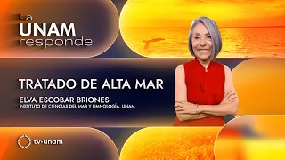 Tratado de Alta Mar. La UNAM responde 1375