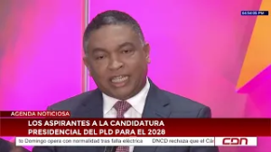 Los aspirantes a la candidatura presidencial del PLD para el 2028