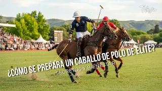 How is an ELITE Polo Horse prepared? (Secrets and Well-being) - TvAgro by Juan Gonzalo Angel