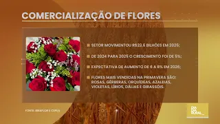 Spring boosts flower and ornamental plant sector