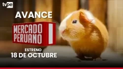 ¡EL NEGOCIO DEL CUY CRECE EN EL PERÚ! 🇵🇪 Conoce su producción tecnificada desde Junín