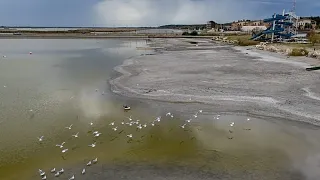 Hungria: nível da água em mínimos históricos afunda turismo no Lago Velence