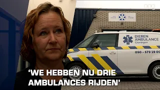 Dierenambulance heeft handen vol aan oververhitte vogels
