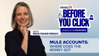 Where does the money go? The truth about mule accounts