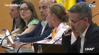 Vox reclama un plan más eficaz frente a la proliferación de gaviotas