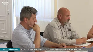 Az aszály miatt feszített, gyors ütemben zajlik az aratás - 2026.06.29.