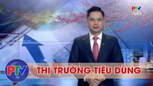 Thị trường tiêu dùng ngày 20/02/2026 |