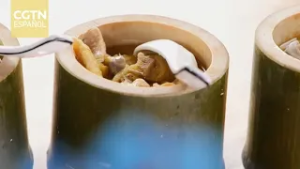 El guiso de pescado & El pollo en tubo de bambú