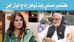 What are your thoughts on the Kashmir issue? - KASHMIR SOLIDARITY DAY l