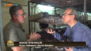 Tarım Akademisi Bölüm  2  08 Temmuz 2026 Mantar Yetiştiriciliği