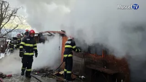 jurnal MUSCEL TV 23 02 2026 SOBELE SUPRAALIMENTATE AU CAUZAT PAGUBE OMENEȘTI