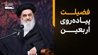 فضیلت بی نهایت پیاده روی اربعین از نگاه آیت‌الله العظمی شیرازی