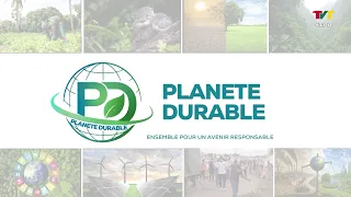 SUSTAINABLE PLANET: FROM THE COAST TO THE FORESTS, TOGO FACES THE CLIMATE EMERGENCY