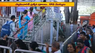 వేములవాడ భీమేశ్వరాలయంలో భక్తుల సందడి..స్వామివారికి ప్రత్యేక పూజలు, కోడె మొక్కులు |Bhakthi Visheshalu