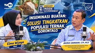 INSIDE GOVERNMENT PODCAST | “Artificial Insemination: A Solution to Increase Gorontalo’s Livestoc...