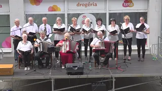 Spevácka skupina Seniorka potešila nielen seniorov