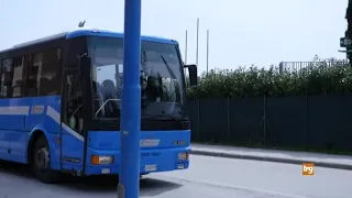 Public transport and students: the Province's strategies
