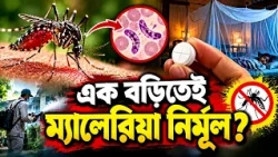 SINGLE PILL TO KNOCK IT OUT MALARIA RELAPSE l এক বড়িতেই ম্যালেরিয়ার পুনরায় সংক্রমণ রোখার আশা!