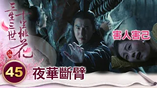 夜華不計前嫌救下離鏡夫婦 玄女卻為搶奪神芝草拔劍偷襲【三生三世十里桃花】精華 EP45-3 楊冪、趙又廷、迪麗熱巴、高偉光、張智堯 @ctvdrama_classic