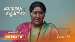 Ennallo Vechina Hrudayam | బాల ఆరోగ్యంపై పార్వతమ్మ ఆందోళన?