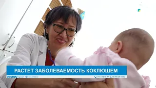 WHOOPING COUGH CASES ON THE RISE