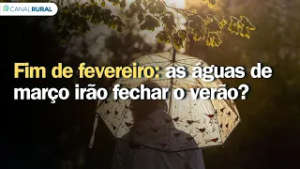Fim de fevereiro: as águas de março irão fechar o verão?
