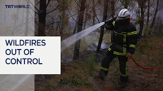 Wildfires rage across Spain, France and Italy as extreme heat grips Europe