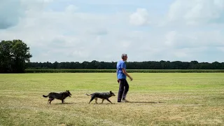 Farmers struggling with the drought