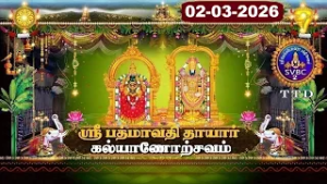 Sri Padmavathi Ammavari || Kalyanotsavam || Tiruchanoor || 02-03-2026 || SVBC2 Tamil || SVBC TTD