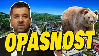 Medvjed PRED školom MOĆNI Avioni Saudijcima OTKRIVENO Detalji TRAGEDIJE u Lukavcu