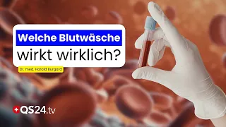 Whole Blood or Plasma? Which Blood Cleansing Treatment Is Right for Whom | Natural Medicine | QS24