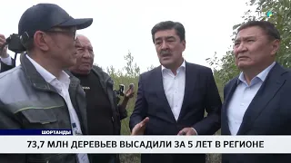 73.7 Million Trees Planted in the Region Over 5 Years