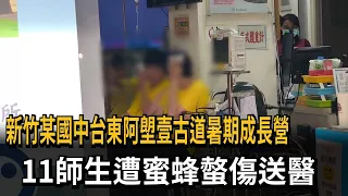 Hsinchu Middle School Summer Campers Attacked by Bees on Alangvi Historic Trail: 11 Students and ...